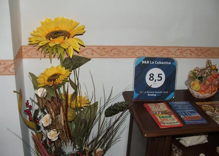 La Cubanina Oda ve Kahvaltı 3*